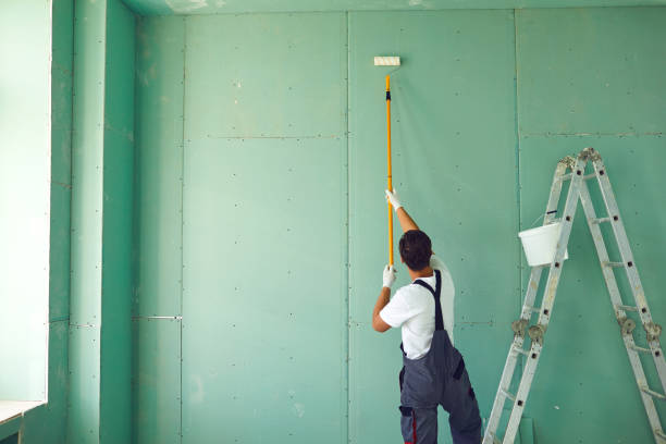 Best Touch-Up Painting Services  in USA